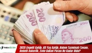 2025 Engelli Aylığı, 65 Yaş Aylığı, Kıdem Tazminatı Tavanı, Bedelli Askerlik, Evde Bakım Parası Ne Kadar Oldu?