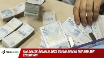 Aile Destek Ödemesi 2025 Devam Edecek Mi? Bitti Mi? Uzatıldı Mı?